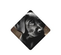 6 Pcs Car Air Fresheners Hanging Fragrance Scented Cards Car Aromatherapy Tablets Black Labrador Puppy Car Interior Mirror Pendant Gifts for Women Men