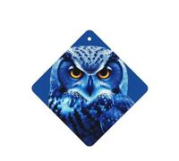 6 Pcs Car Air Fresheners Hanging Fragrance Scented Cards Car Aromatherapy Tablets Blue Owl Car Interior Mirror Pendant Gifts for Women Men