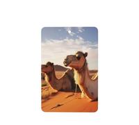 6 Pcs Car Air Fresheners Hanging Fragrance Scented Cards Car Aromatherapy Tablets Camels Rest Desert Car Interior Mirror Pendant Gifts for Women Men