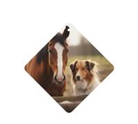 6 Pcs Car Air Fresheners Hanging Fragrance Scented Cards Car Aromatherapy Tablets Collie Dog and Horse Together Auto Interior Mirror Pendant Gifts for Women Men