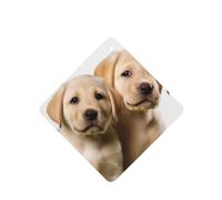 6 Pcs Car Air Fresheners Hanging Fragrance Scented Cards Car Aromatherapy Tablets Funny Labrador Puppy Dog Auto Interior Mirror Pendant Gifts for Women Men