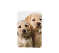 6 Pcs Car Air Fresheners Hanging Fragrance Scented Cards Car Aromatherapy Tablets Funny Labrador Puppy Dog Auto Interior Mirror Pendant Gifts for Women Men