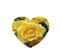 6 Pcs Car Air Fresheners Hanging Fragrance Scented Cards Car Aromatherapy Tablets Graceful Yellow Rose Flower Auto Interior Mirror Pendant Gifts for Women Men