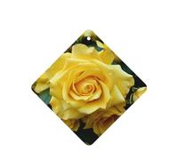 6 Pcs Car Air Fresheners Hanging Fragrance Scented Cards Car Aromatherapy Tablets Graceful Yellow Rose Flower Auto Interior Mirror Pendant Gifts for Women Men