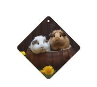 6 Pcs Car Air Fresheners Hanging Fragrance Scented Cards Car Aromatherapy Tablets guinea pigs Car Interior Mirror Pendant Gifts for Women Men