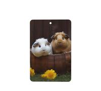 6 Pcs Car Air Fresheners Hanging Fragrance Scented Cards Car Aromatherapy Tablets guinea pigs Car Interior Mirror Pendant Gifts for Women Men