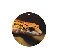 6 Pcs Car Air Fresheners Hanging Fragrance Scented Cards Car Aromatherapy Tablets Leopard Little Gecko Car Interior Mirror Pendant Gifts for Women Men