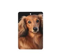 6 Pcs Car Air Fresheners Hanging Fragrance Scented Cards Car Aromatherapy Tablets Long haired Dachshund Auto Interior Mirror Pendant Gifts for Women Men