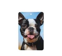6 Pcs Car Air Fresheners Hanging Fragrance Scented Cards Car Aromatherapy Tablets Lovely Boston Terrier Auto Interior Mirror Pendant Gifts for Women Men