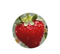 6 Pcs Car Air Fresheners Hanging Fragrance Scented Cards Car Aromatherapy Tablets Lovely Strawberry Car Interior Mirror Pendant Gifts for Women Men