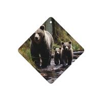 6 Pcs Car Air Fresheners Hanging Fragrance Scented Cards Car Aromatherapy Tablets Mother bear and her cubs Auto Interior Mirror Pendant Gifts for Women Men