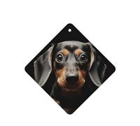 6 Pcs Car Air Fresheners Hanging Fragrance Scented Cards Car Aromatherapy Tablets Pad Dachshund Auto Interior Mirror Pendant Gifts for Women Men