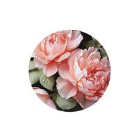 6 Pcs Car Air Fresheners Hanging Fragrance Scented Cards Car Aromatherapy Tablets Peony Flowers Rose Auto Interior Mirror Pendant Gifts for Women Men