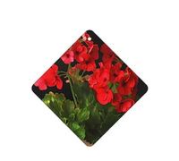 6 Pcs Car Air Fresheners Hanging Fragrance Scented Cards Car Aromatherapy Tablets Red geraniums Car Interior Mirror Pendant Gifts for Women Men