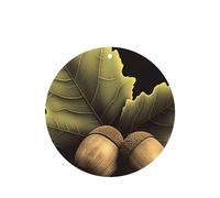 6 Pcs Car Air Fresheners Hanging Fragrance Scented Cards Car Aromatherapy Tablets Two acorns Auto Interior Mirror Pendant Gifts for Women Men