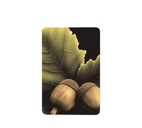 6 Pcs Car Air Fresheners Hanging Fragrance Scented Cards Car Aromatherapy Tablets Two acorns Auto Interior Mirror Pendant Gifts for Women Men