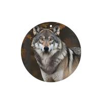6 Pcs Car Air Fresheners Hanging Fragrance Scented Cards Car Aromatherapy Tablets Wild Wild Gray Wolf Auto Interior Mirror Pendant Gifts for Women Men