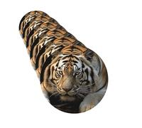 6 Pcs Car Air Fresheners Round Shape Hanging Car Air Freshener Fragrance Scented Cards Lying Tiger Auto Mirror Pendant Aromatherapy Tablets For Car Home Office Closet Bathroom