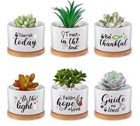 6 Pcs Christian Bible Verse Gifts Set Funny Succulent Plant Pot with Bamboo Tray Ceramic Funny Planter Succulent Accessories Cute Plants Pots for Women Teacher Coworker Birthday Gifts (Bible Style)