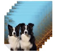 6 PCS Cloth Napkins Border Collie Reusable Satin 18.7x18.7 Inch Washable Soft Table Napkins for Dining Wedding, Holiday Decor & Eco-Friendly Kitchen Gifts