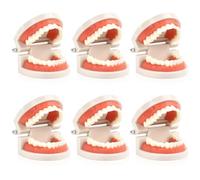 6 Pcs Dental Teeth Model, Dental Demonstration Model for Study, Standard Teeth Models, Plastic Mouth Models, Fake Mouth for Teaching, Dentist, Dentals Students, Clean Display