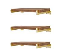 6 Pcs Floating Shelf Brackets 12 Inch Heavy Duty Wall Mounted Industrial Metal Shelving Supports with Lip (300mm/12 Inch Gold)