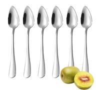 6 PCS Grapefruit Spoon, Dessert Spoon Stainless Steel,with Serrated Edge Stainless Steel Fruit Scraping Spoon Stainless Steel Serrated Spoon for for Kiwi, Dessert, Apple, Citrus Fruit