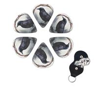 6 Pcs Guitar Picks Black Crow Guitar Pick Set Double-sided Personalized Bass Pick Plectrums with Organizer Storage Box Ukulele Picks Ukulele Accessories for Men Women