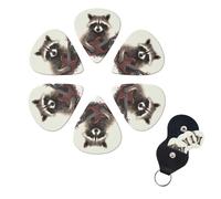 6 Pcs Guitar Picks Funny raccoon Guitar Pick Set Double-sided Personalized Bass Pick Plectrums with Organizer Storage Box Ukulele Picks Ukulele Accessories for Men Women