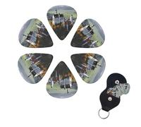 6 Pcs Guitar Picks Germany Neuschwanstein Castle Guitar Pick Set Double-sided Personalized Bass Pick Plectrums with Organizer Storage Box Ukulele Picks Ukulele Accessories for Men Women