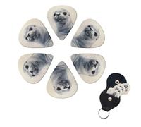 6 Pcs Guitar Picks Harp Seal Painting Guitar Pick Set Double-sided Personalized Bass Pick Plectrums with Organizer Storage Box Ukulele Picks Ukulele Accessories for Men Women