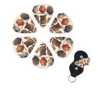 6 Pcs Guitar Picks Owls Birds Guitar Pick Set Double-sided Personalized Bass Pick Plectrums with Organizer Storage Box Ukulele Picks Ukulele Accessories for Men Women