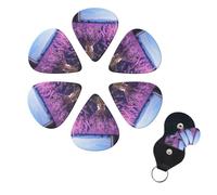 6 Pcs Guitar Picks Romantic Lavender Guitar Pick Set Double-sided Personalized Bass Pick Plectrums with Organizer Storage Box Ukulele Picks Ukulele Accessories for Men Women