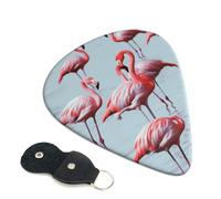 6 Pcs Guitar Picks with beautiful funny Flamingos Print, Guitar Accessories Guitar Picks for Acoustic Guitar, Electric Guitar, Bass Guitar | 0.71mm