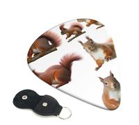 6 Pcs Guitar Picks with Cute Squirrel Print, Guitar Accessories Guitar Picks for Acoustic Guitar, Electric Guitar, Bass Guitar | 0.46mm