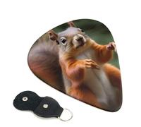 6 Pcs Guitar Picks with Funny Animal Squirrel Print, Guitar Accessories Guitar Picks for Acoustic Guitar, Electric Guitar, Bass Guitar | 0.46mm
