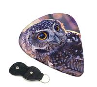 6 Pcs Guitar Picks with Funny Owl outdoors Print, Guitar Accessories Guitar Picks for Acoustic Guitar, Electric Guitar, Bass Guitar | 0.71mm