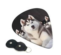 6 Pcs Guitar Picks with Lovely husky Print, Guitar Accessories Guitar Picks for Acoustic Guitar, Electric Guitar, Bass Guitar | 0.71mm