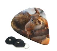 6 Pcs Guitar Picks with Squirrel Funny Animal Print, Guitar Picks for Acoustic Guitar, Electric Guitar, Bass Guitar | 0.46mm