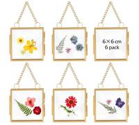 6 Pcs Hanging Mini Photo Frames,Double Clear Sided Glass Pressed Flower Frame with Chain,Floating Metal Gold Photo Frame for Dried Flowers,Plant Specimen, DIY Family Tree, Wall Display (Square, 6*6cm)