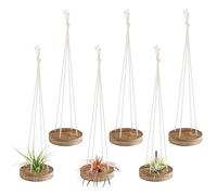 6 Pcs Hanging Wooden Air Plant Holder - 3" Round Airplants Live Hanger with Ropes, Rustic Tillandsia Succulent Display Container Stand for Home Office Decor Housewarming Gift (Excluding Plants)