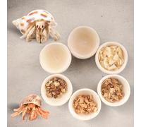 6 Pcs Hermit Crab Food Bowl Small Wooden Feeding Dish for Hermit Crab Snail Millipede Insect
