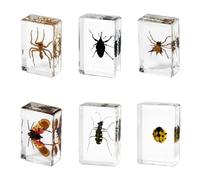 6 Pcs Insect in Resin Specimen, Real Bug Preserved in Resin Specimen Set, Resin Insects Various Insect Specimen for Scientific Education Office Desk Display Supplies (BB-2)