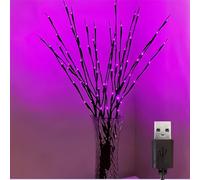6 PCS LED Lighted Twig Branches 120 LED Beads Warm White Colored USB Operated Decorative Branch Lights for Vase Bedroom Restaurant Coffee Bar Library Party Photo Background 70CM