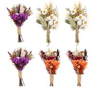 6 Pcs Mini Dried Flowers Bouquet,Hydrangea Bunny Tails Mixed Natural Dried Flower Plant for DIY Craft,Natural Flowers Bouquet for Home Decor,Cake Decor,Epoxy Resin,Card,Scrapbooking (B style)