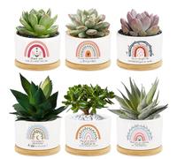 6 Pcs Thank You Teacher Gift Rainbow Succulent Pots Mini Ceramic Plant Pots with Bamboo Tray Flower Pots Planters for Teacher Colleague Employee Nurse Friend Appreciation Plants Not Included