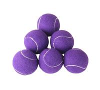 6 PCS Training Tennis Balls, High Elasticity Practice Tennis for Beginner, Exercise Playing Balls Felt Training Toys for Pet Dog (Purple)