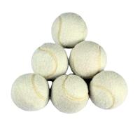 6 PCS Training Tennis Balls, High Elasticity Practice Tennis for Beginner, Exercise Playing Balls Felt Training Toys for Pet Dog (Beige)