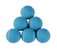6 PCS Training Tennis Balls, High Elasticity Practice Tennis for Beginner, Exercise Playing Balls Felt Training Toys for Pet Dog (Light Blue)