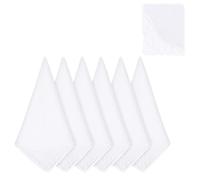 6 PCS White Handkerchiefs for Women, 11 Inch Soft Cotton Lace Handkerchief Elegant Ladies Hankies Women's Wedding Handkerchiefs, Embroidery Lace Pure Color Square Hankies for Daily Afternoon Tea Party